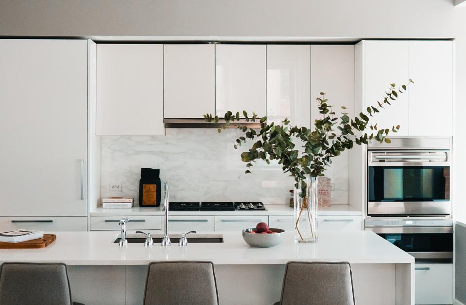 A white modern kitchen with a green plant on the island.