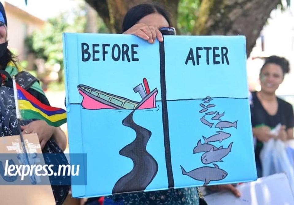 Protestors are angry at the oil spill and death of large numbers of protected whales and dolphins on Mauritius' South East coast