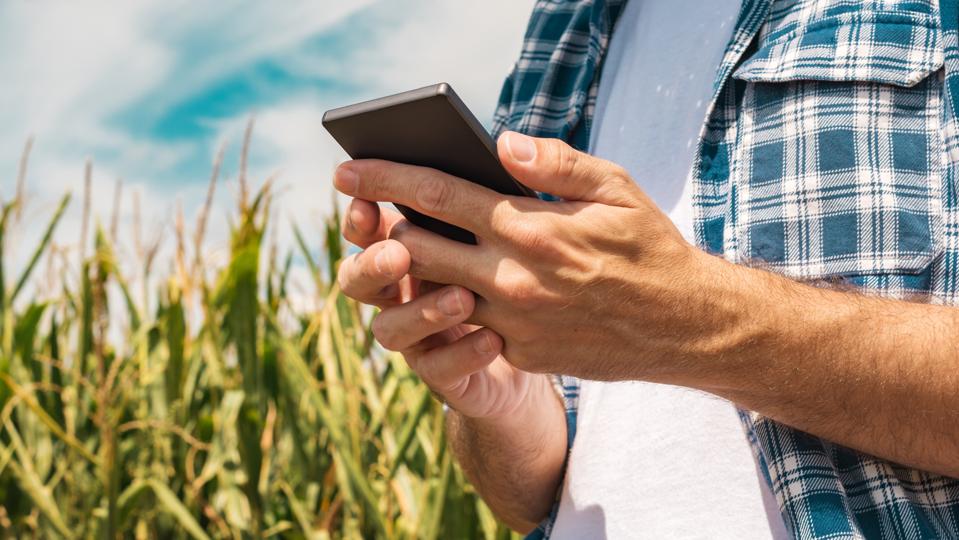 Agronomist typing text message on smartphone