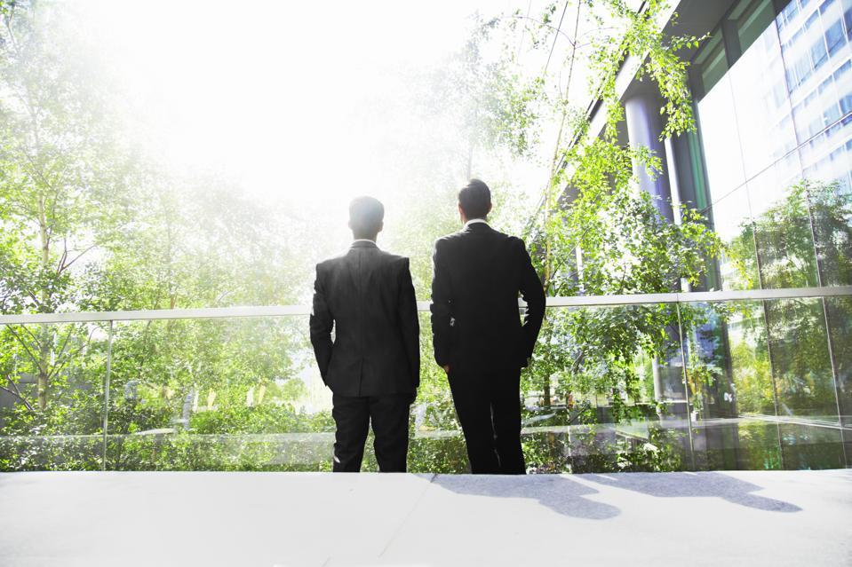 Two businessmen surrounded by trees.