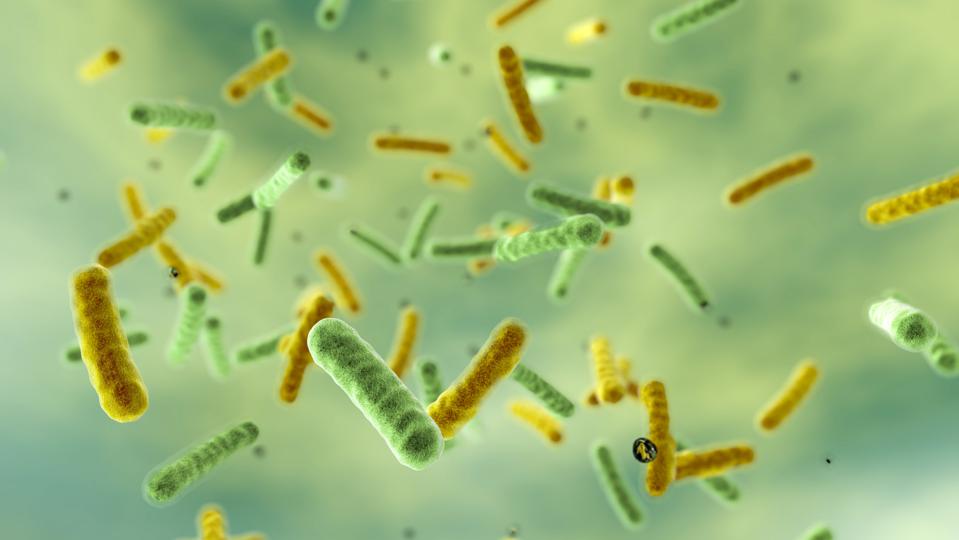 Bacteria in water, illustration