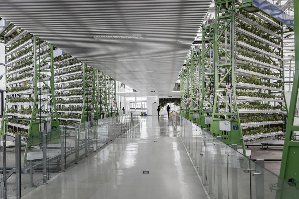 COFCO vertical farming