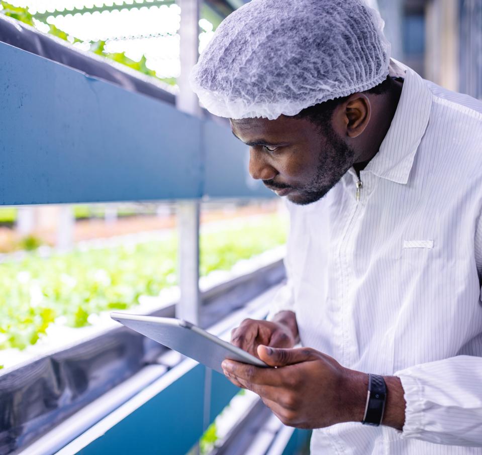 The Virtual Inspector: Remote Auditing For Food Safety Verification