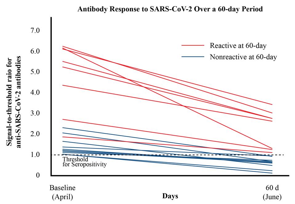 A chart tracking decline in antibody levels.