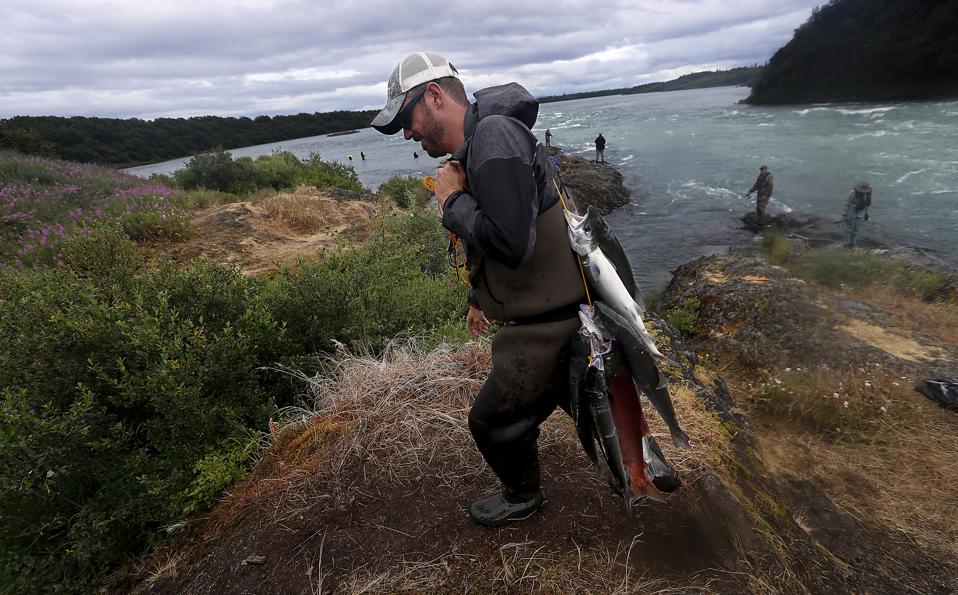 Alaska environmental stories