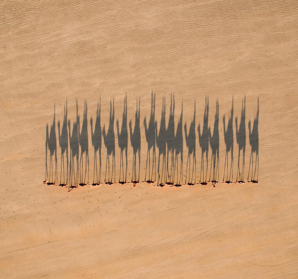 Camel caravan, camels, Australia, Eyes Over the World, Drone Photography