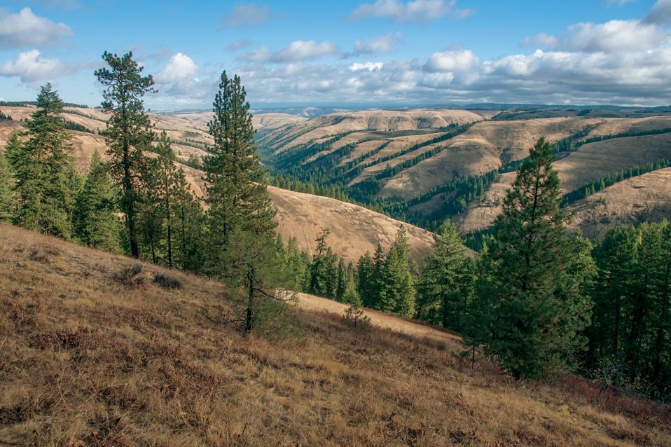 Oregon Trail, America's National Historic Trails, Rizzoli