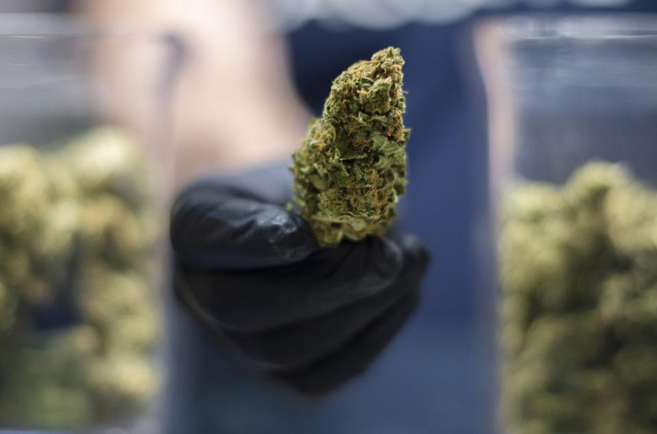 Madrid Cannabis Club Reopens With Social Distancing Measures
