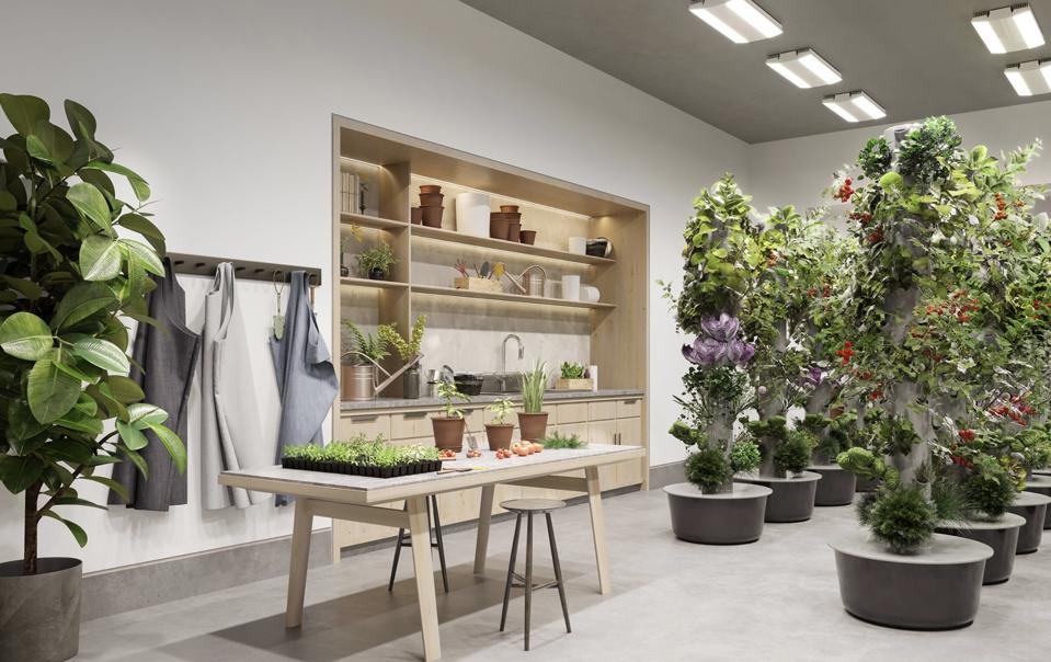 The indoor gardening room