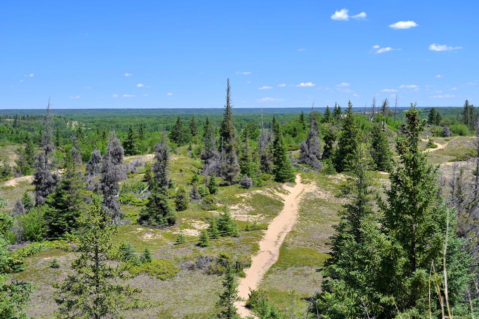 Spruce Woods Provincial Park, Spirit Sands, Carberry Desert, Manitoba, Canada
