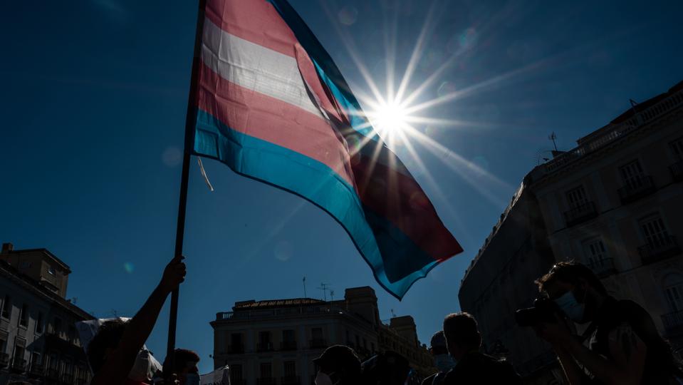 Demonstrator waving the Trans flag attends a protest where...