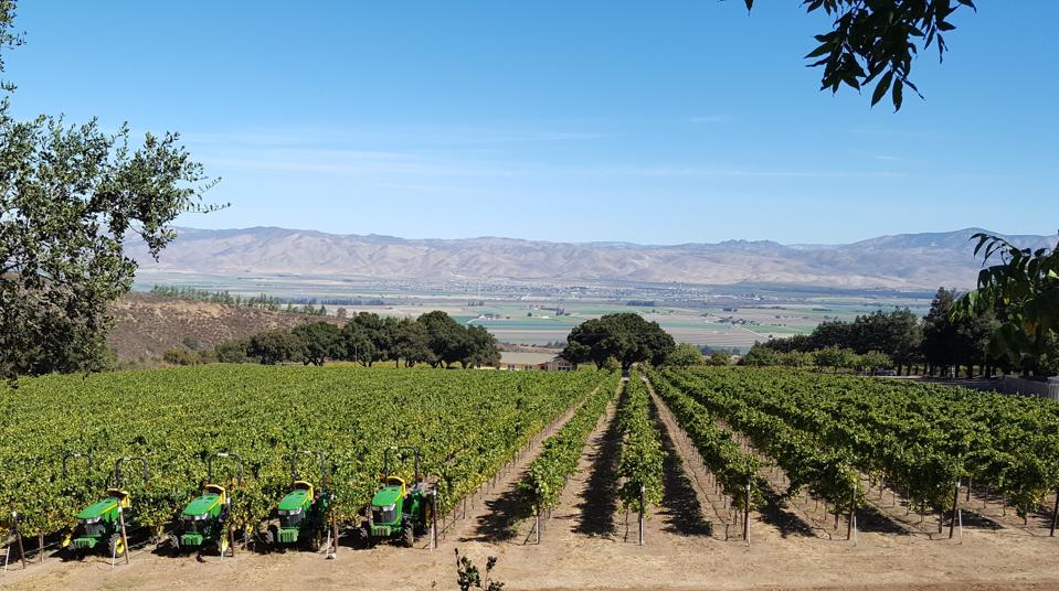 vineyards, mountains, California, Monterey County