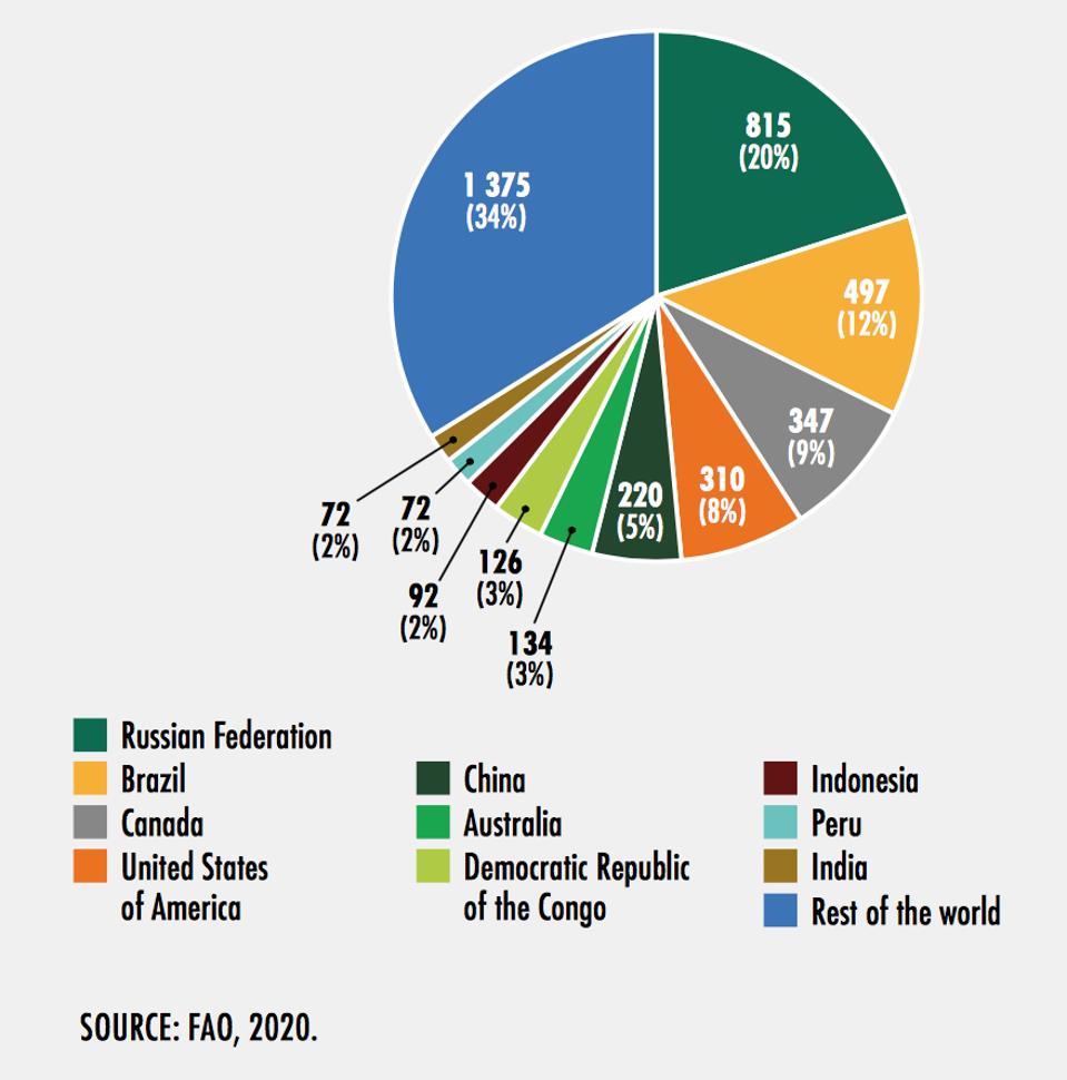 Forests around the world