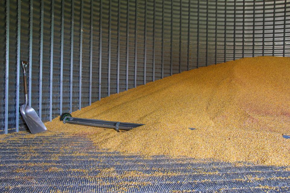Grain Bin half filled with corn