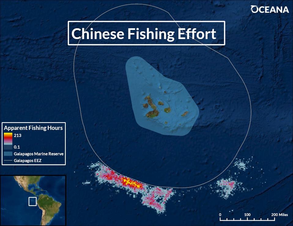 Map of Galapagos Islands with Chinese fishing vessels shown as multicolored dots.