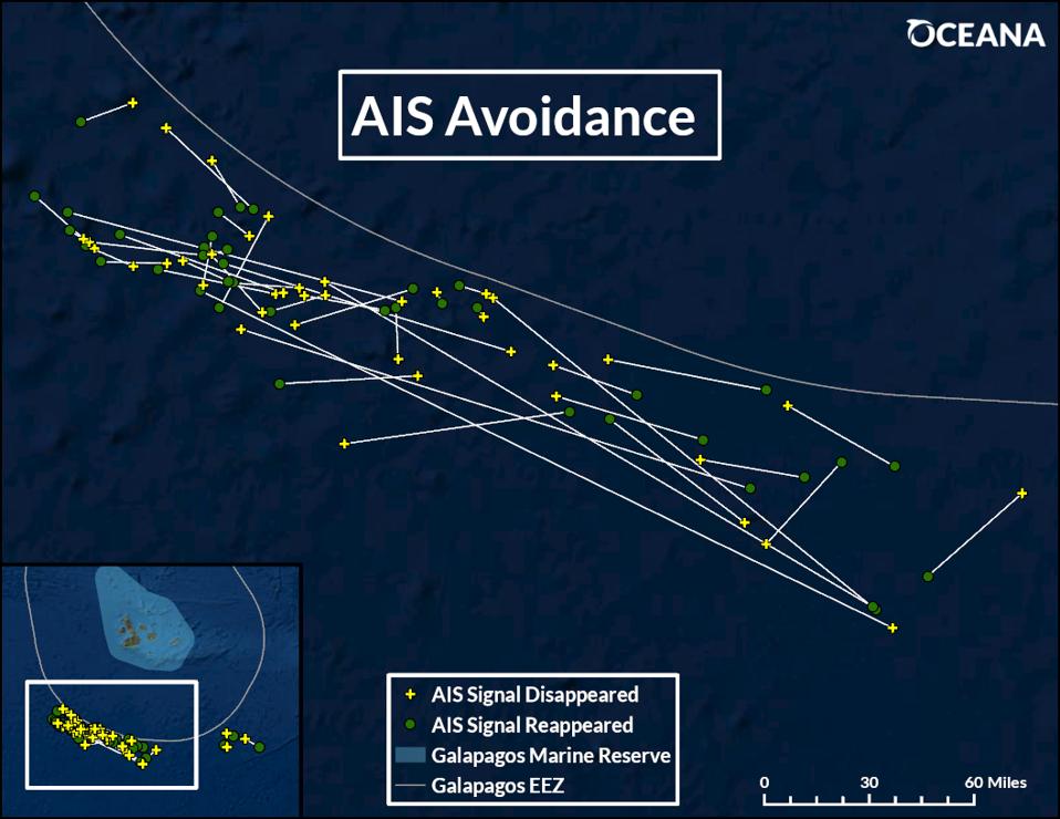 Map of shipping vessels near galapagos islands, showing AIS avoidance behavior.