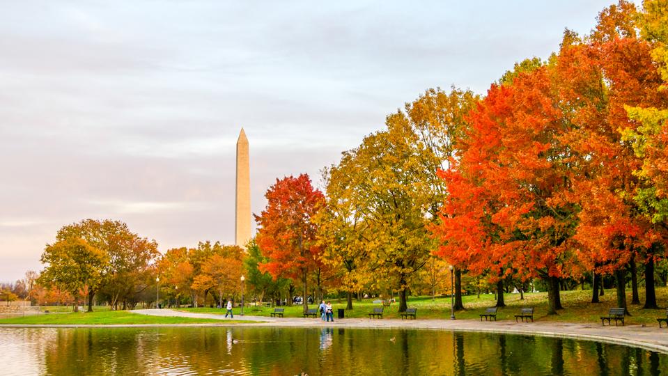 Fall foliage Washington Monument D.C. travel safe guide road trip capital 