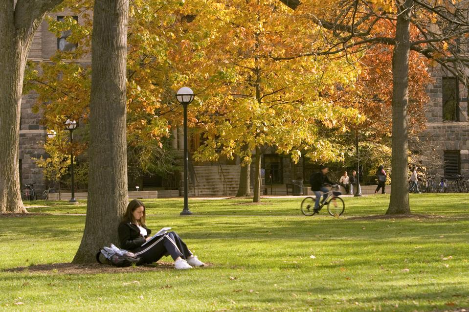 Young female student sitting under tree on campus
