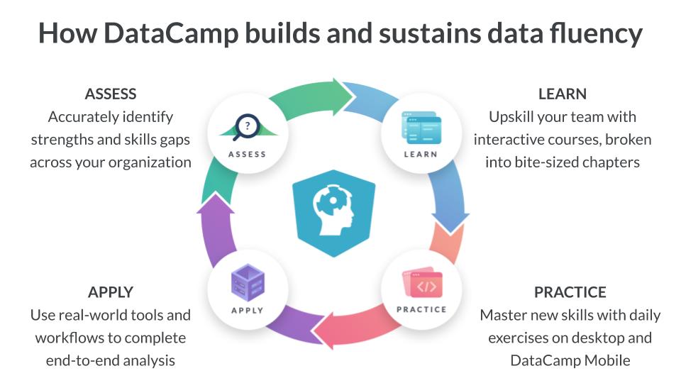 Learning cycle from Datacamp