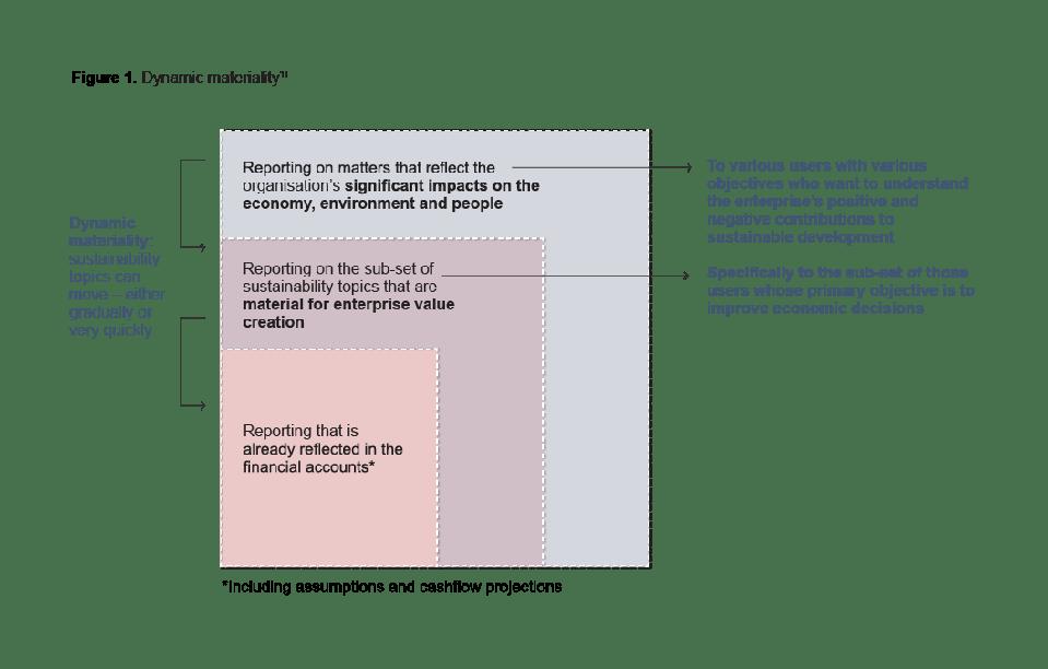 Figure 1. Dynamic materiality f