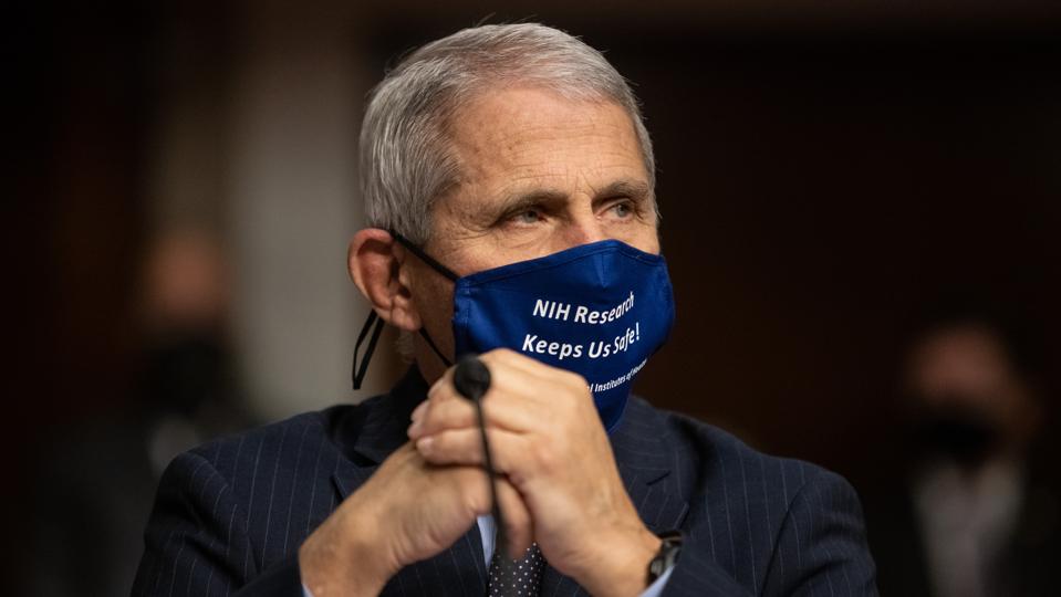 Dr. Anthony Fauci Testifies Before Senate On Federal Response To Pandemic