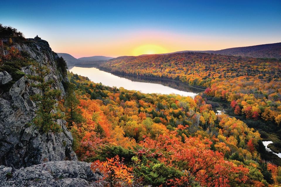Michigan Foliage 2025