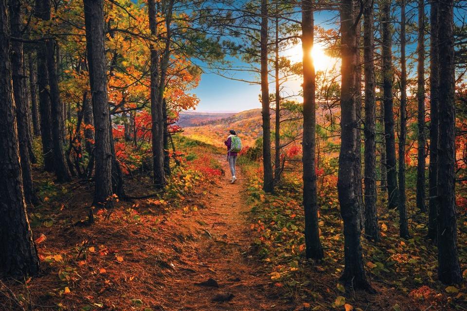 The Best Spots To Enjoy Michigan S Feast Of Fall Foliage