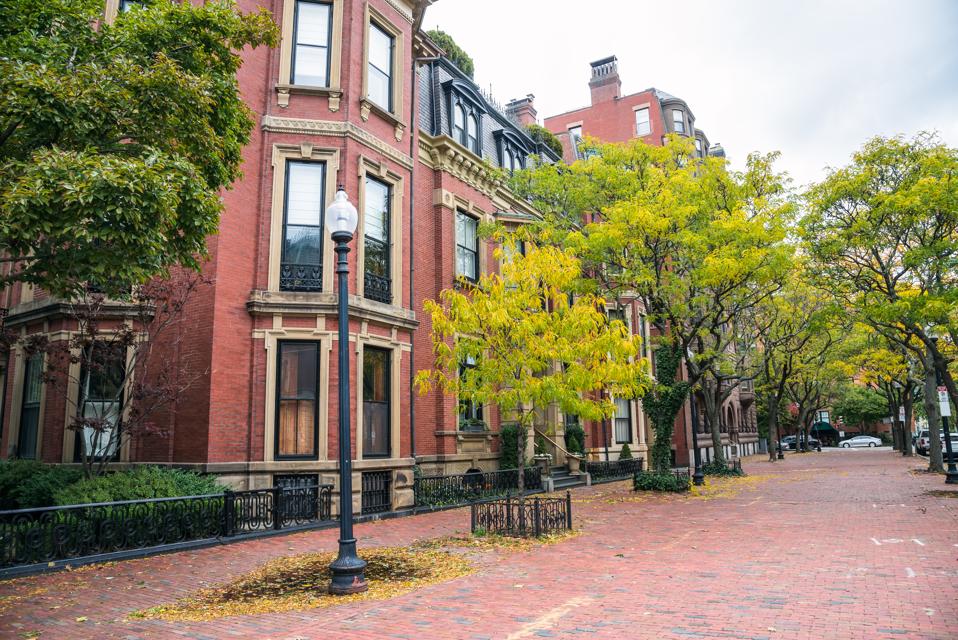 Brick residential buildings along a tree lined sidewalk
