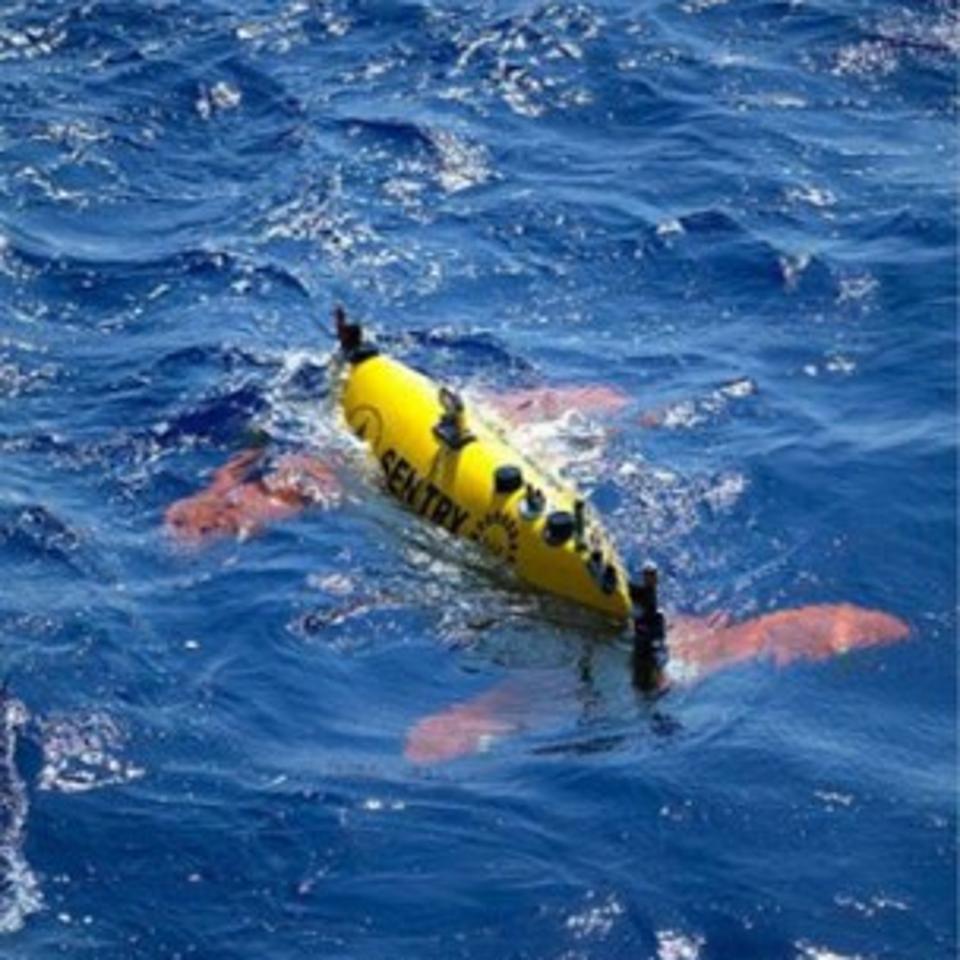 Ocean robots, such as the Sentry from Woods Hole Oceanographic Institute, helped identify the VDR