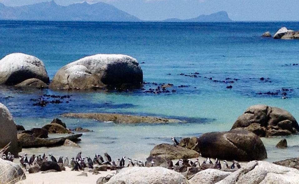 Boulders Beach
