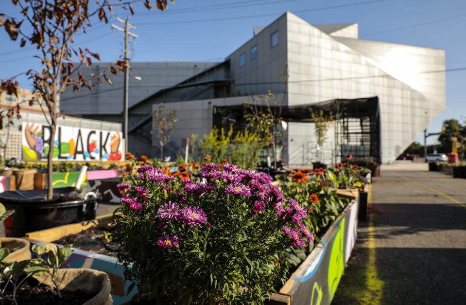 Installation image, Commonwealth at the Institute for Contemporary Art at Virginia Commonwealth University, 2020. In image: Duron Chavis and Quilian Riano, 'Resiliency Garden,' 2020.