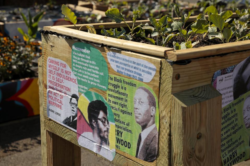 Installation image, Commonwealth at the Institute for Contemporary Art at Virginia Commonwealth University, 2020. In image: Duron Chavis and Quilian Riano, 'Resiliency Garden,' 2020.
