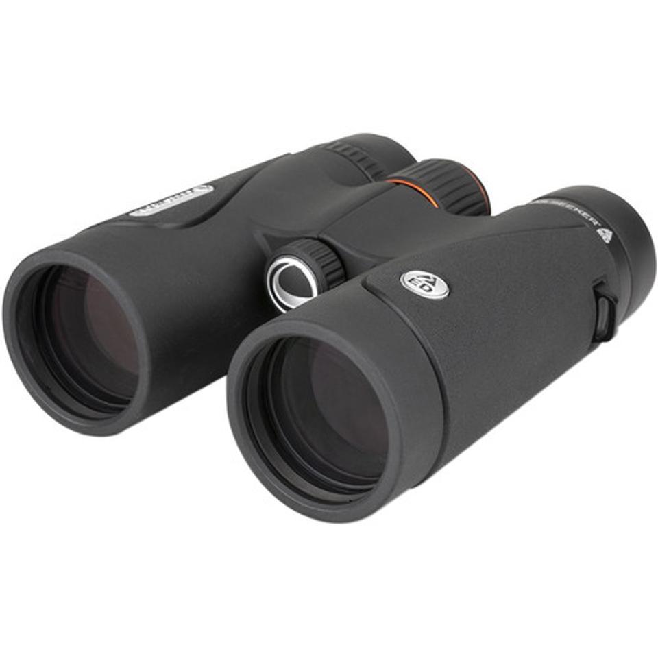 The best budget binoculars in 2020 - Business Insider