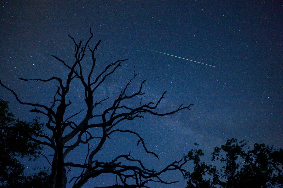 Perseid in august