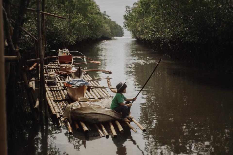 Young Boy Fishing