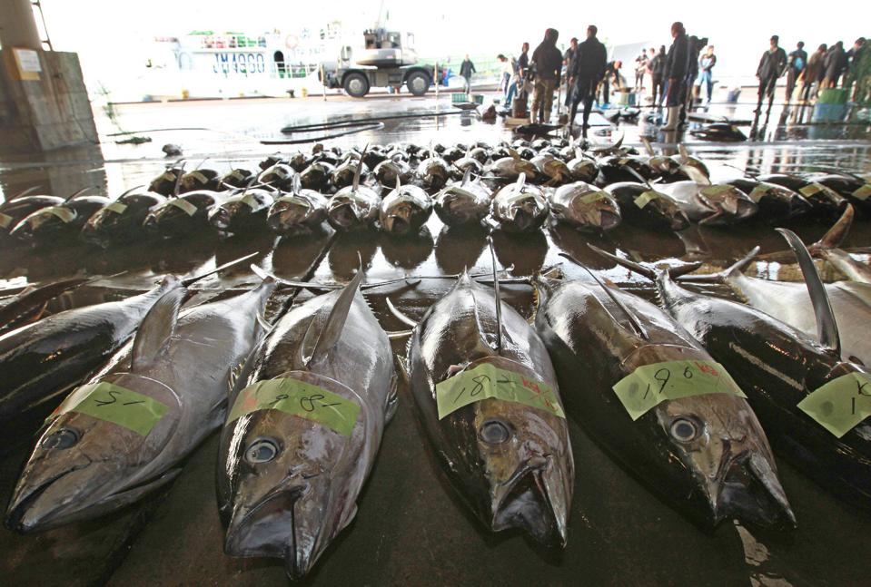JAPAN-QUAKE-DISASTER-TUNA