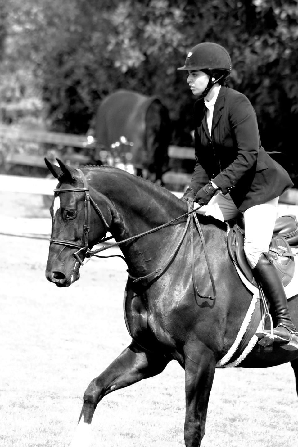 Elite Fashion Model and Social Media Influencer Billy Arora competing in an equestrian competition