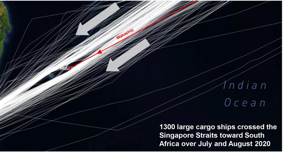 Wakashio's path cut across the major shipping lanes of the Indian Ocean