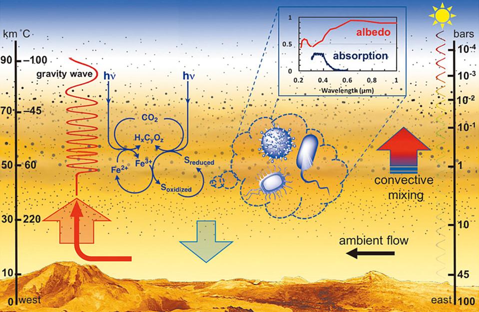 Illustration of the idea that Venus's cloud-rich atmosphere could house microorganisms.