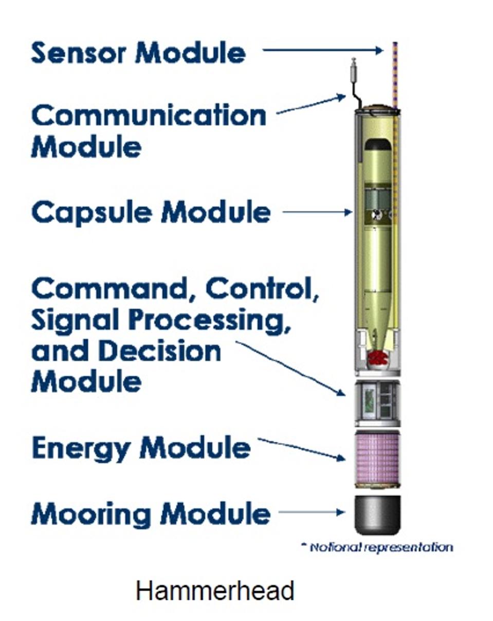 Encapsulated torpedo