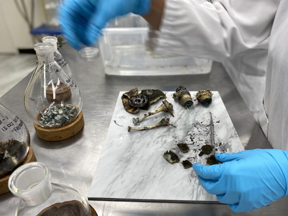 Scientists take apart magic mushrooms.