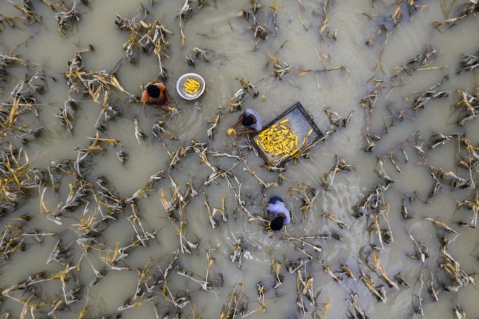 Environmental photo Aerial Photography Awards 2020