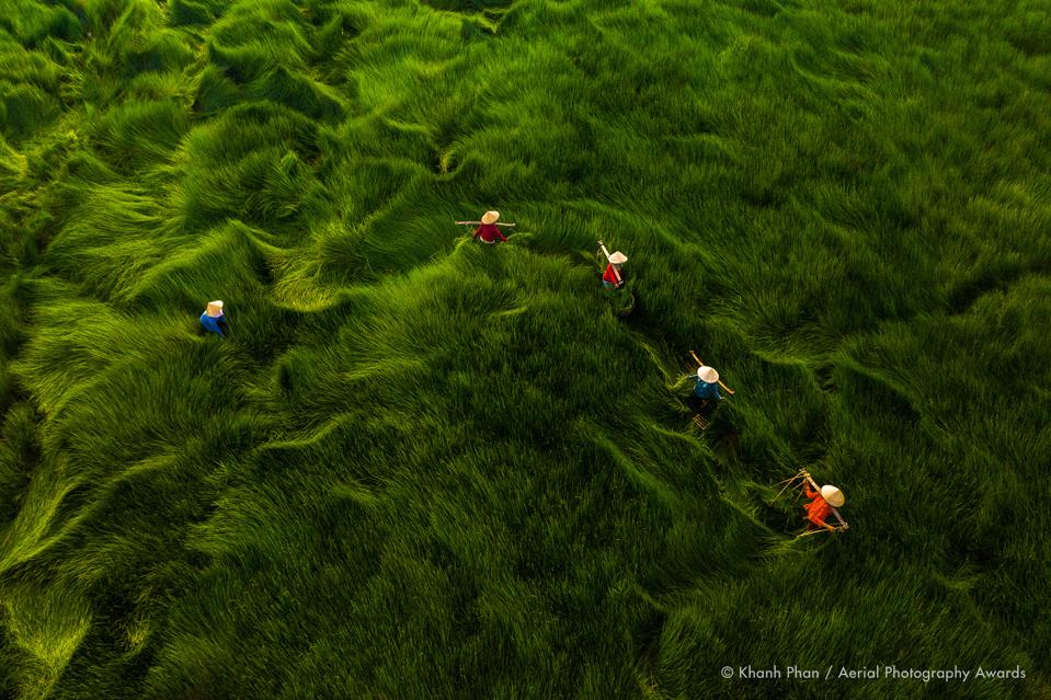 Daily Life photo Aerial Photography Awards 2020