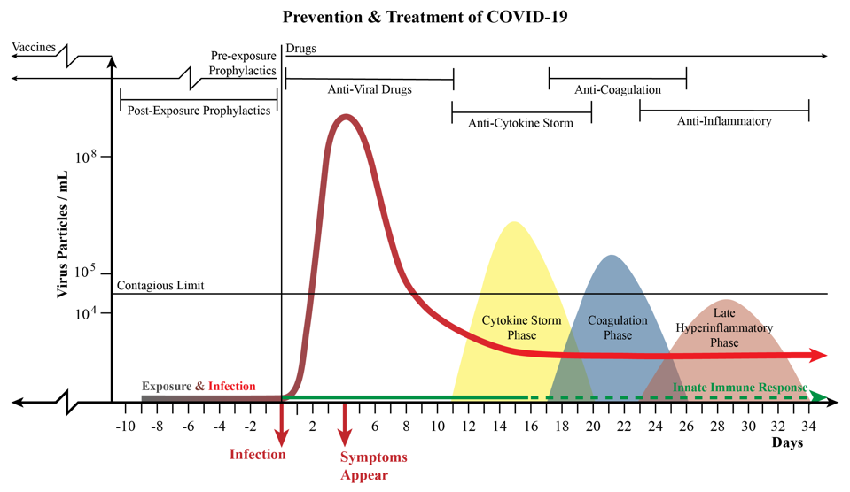 A chart that combines the phases of disease progression with information on treatments and prophylactics.