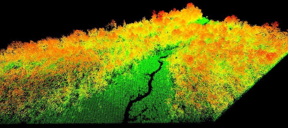 Satellite imagery of a forest stand.