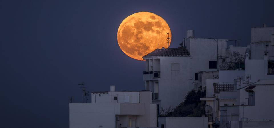 How, when and where you can see a spooky 'Halloween Hunter's Blue Blood Moon' full moon this weekend.