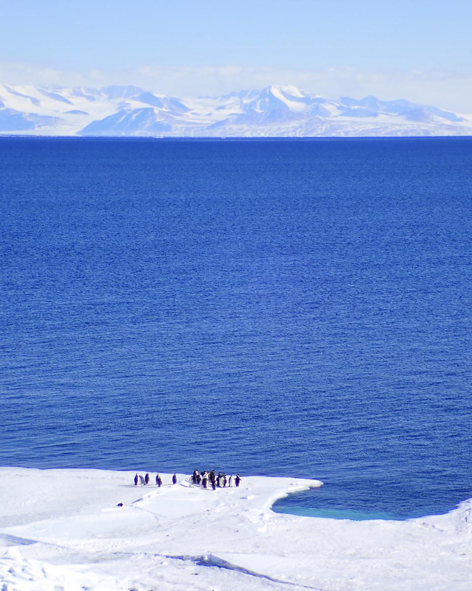 Emperor and adelie penguins gathered at the edge of the sea ice in the Ross Sea, near Cape Royds.