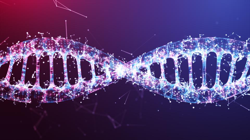 Scientists Use DNA To Store Digital Data