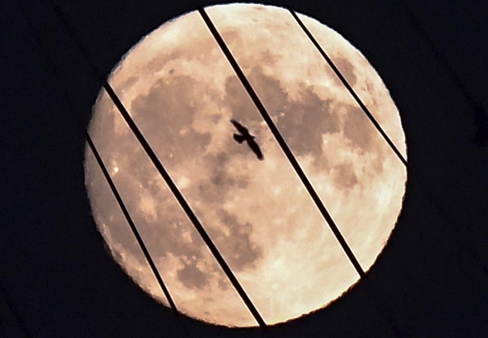 Full moon over Vladivostok, Russia