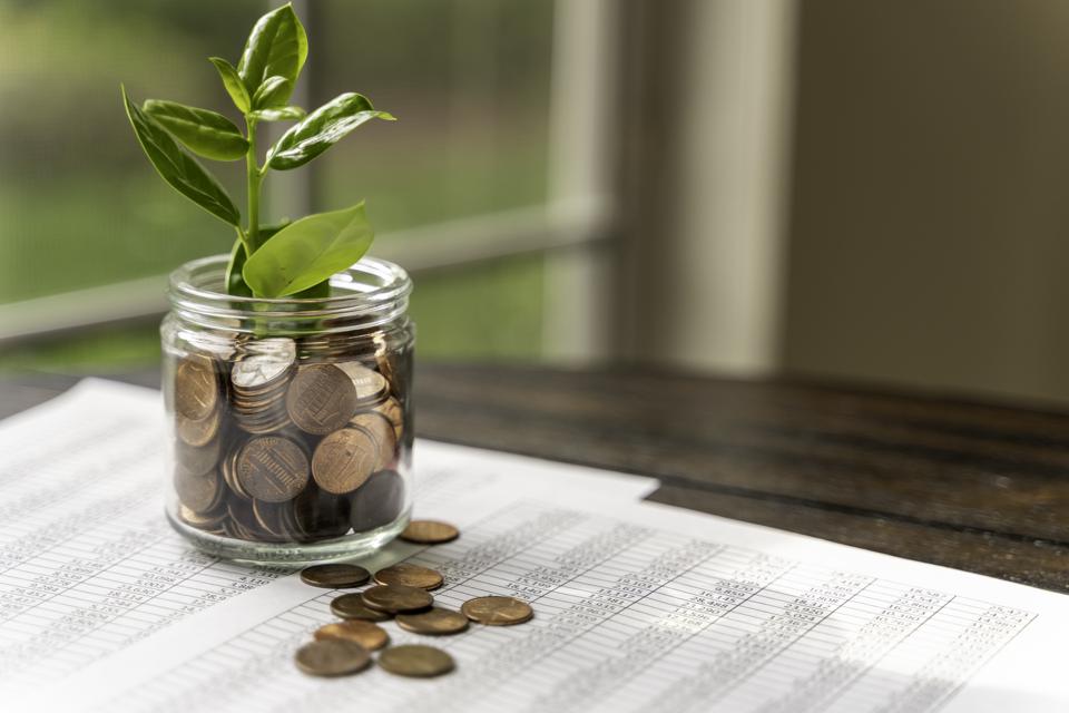 Investing banking mortgage background with plant growth